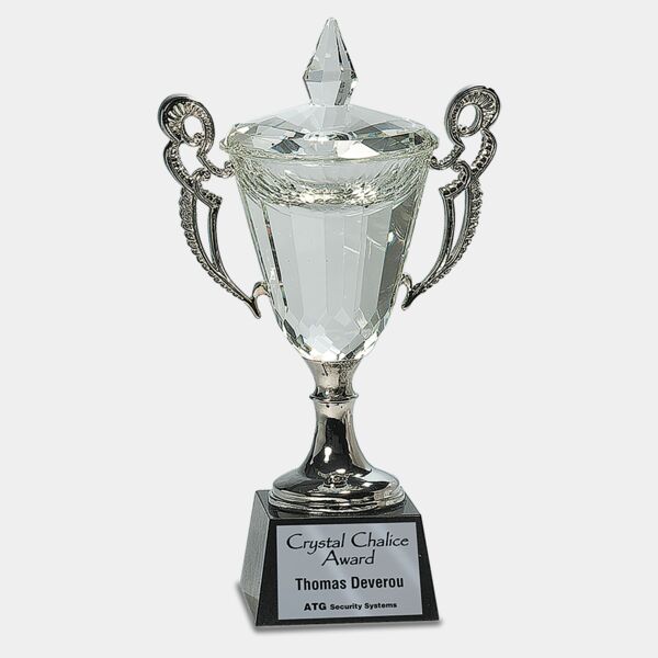 11 1/4" Crystal Cup with Handles and Stem Thumbnail