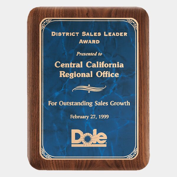 7" X 9" American Plaque with Border Sapphire Marble LaserFX Plate Thumbnail