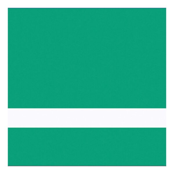 24" x 49" x 1/16" Brushed Satin Spring / Gemini Duets Selects Thumbnail