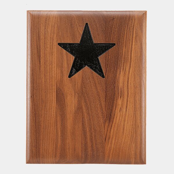 9" x 12" American Plaque With Star Recess Thumbnail